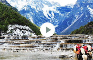 2017年新宝GG科技团建-云南之旅