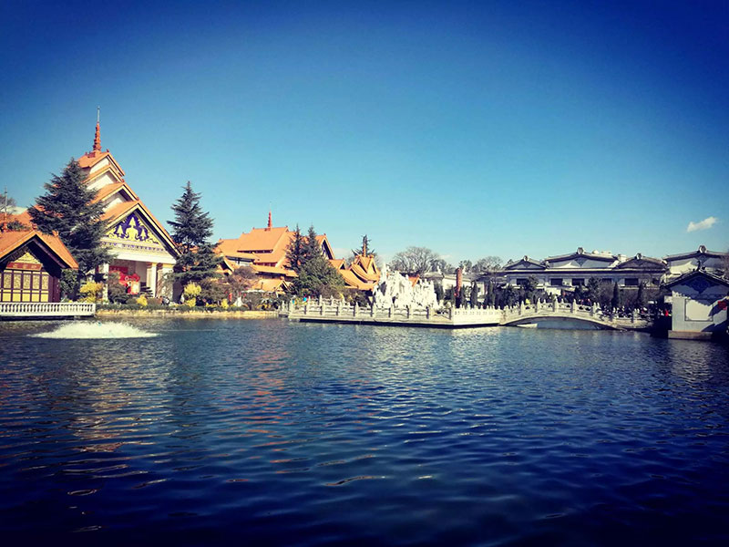 新宝GG—创立事业平台