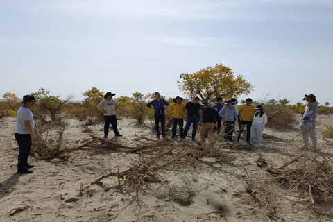 新宝GG—创立事业平台