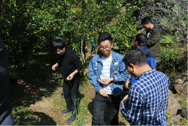 新宝GG—创立事业平台