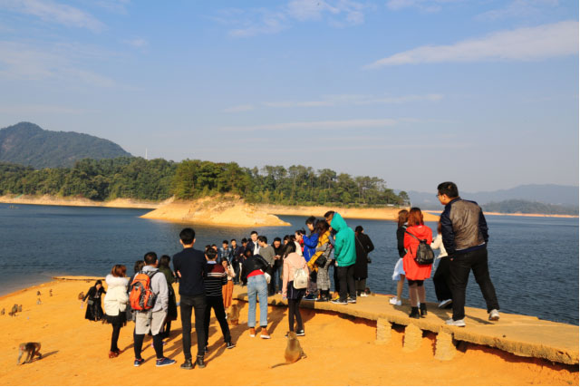 新宝GG—创立事业平台