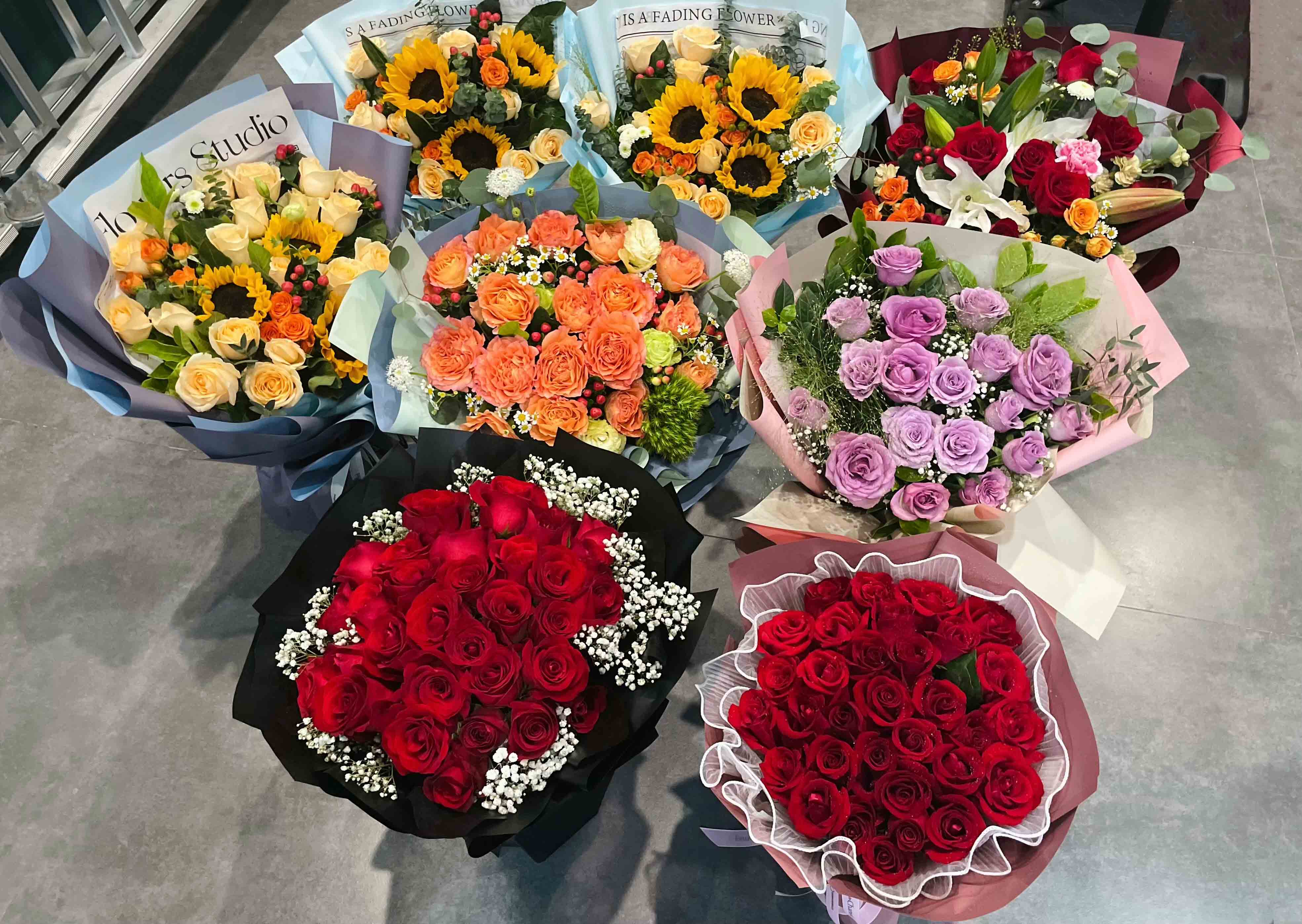 新宝GG—创立事业平台