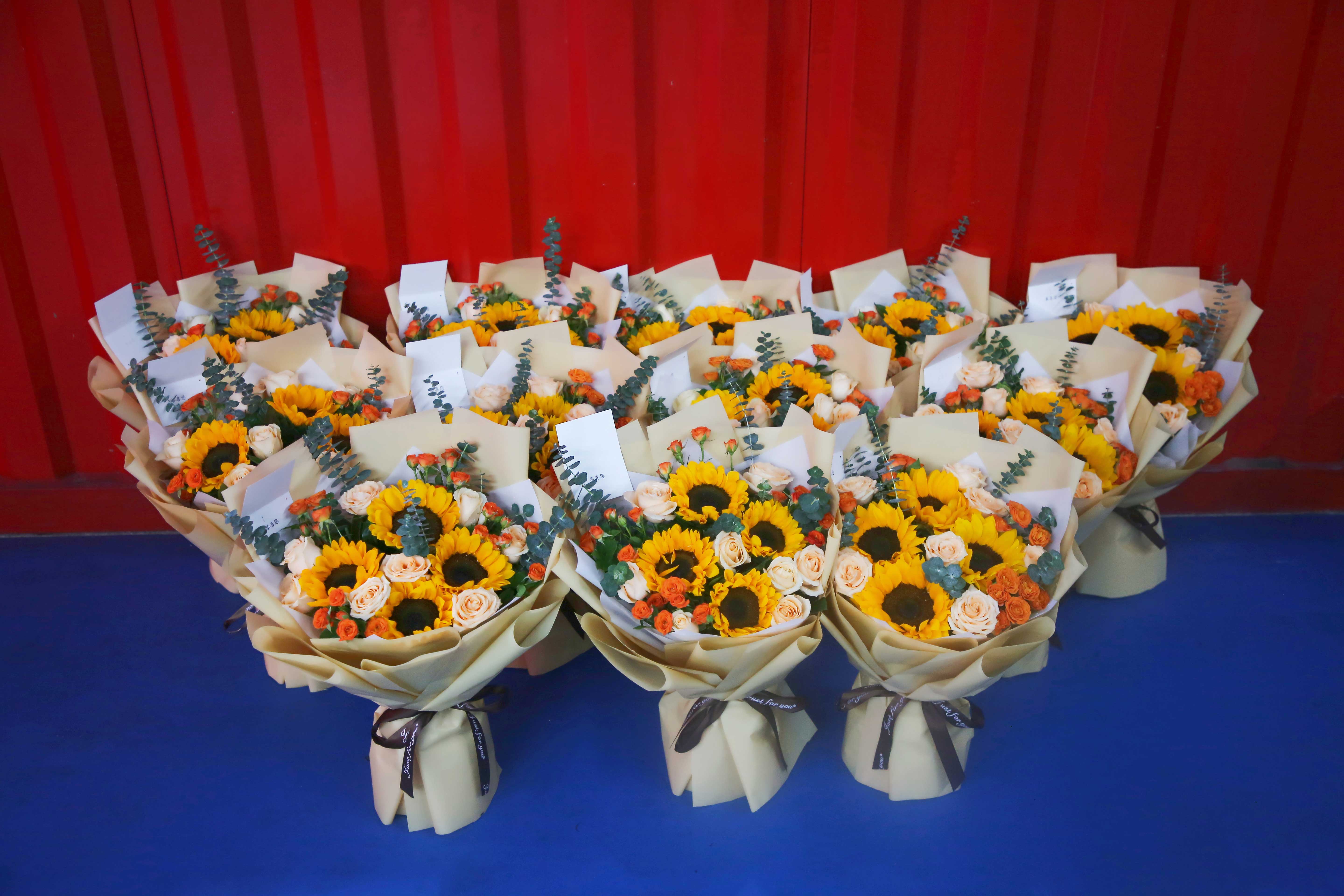 新宝GG—创立事业平台