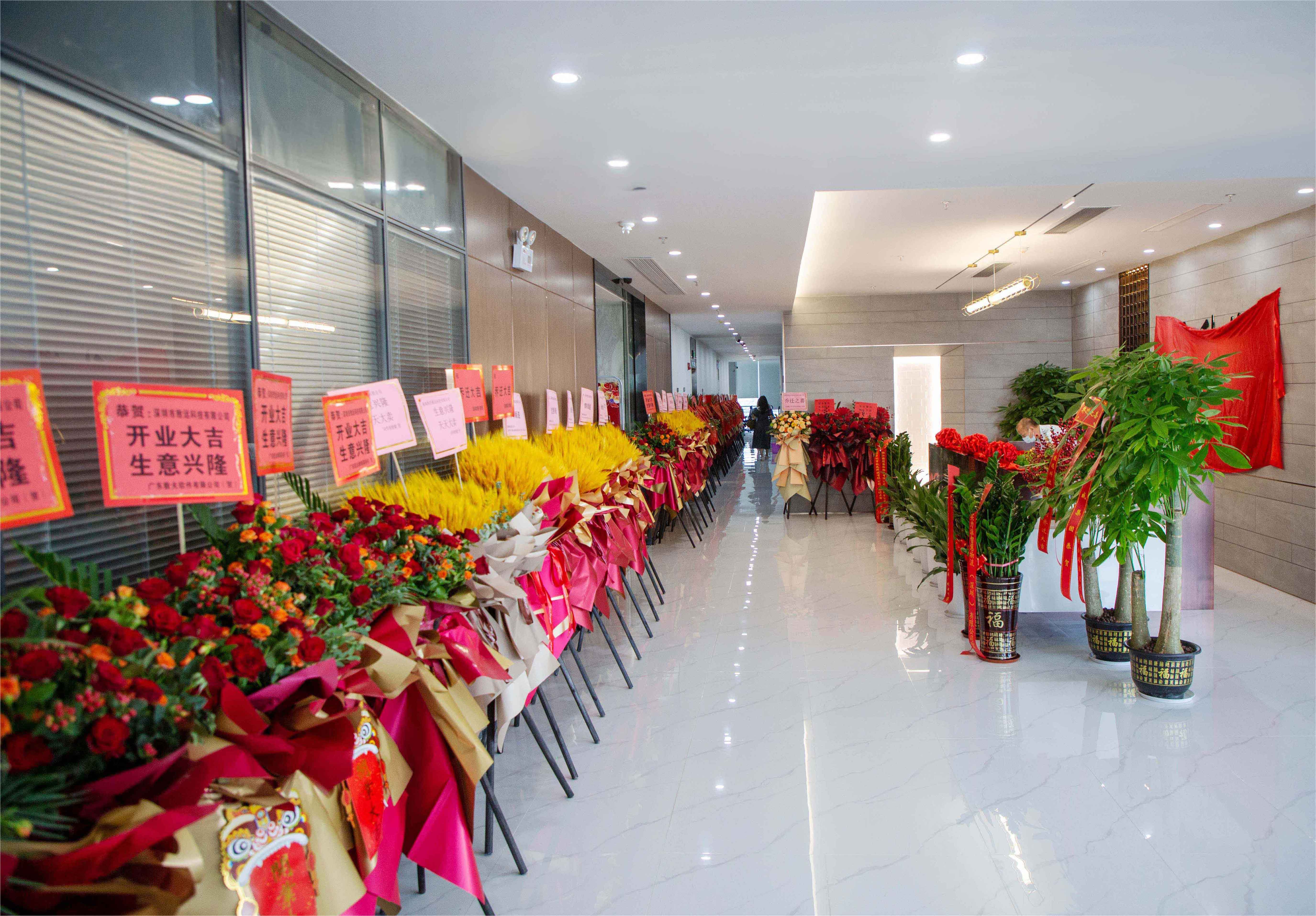 新宝GG—创立事业平台