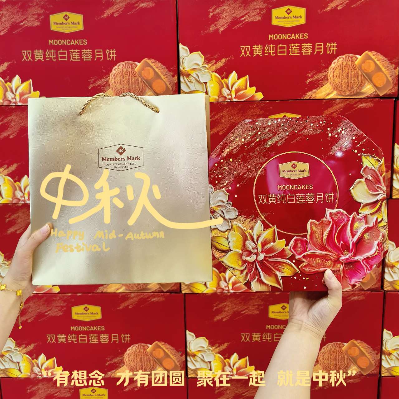 新宝GG—创立事业平台